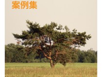 雷速k歌比赛投票专栏英超足球规则介绍